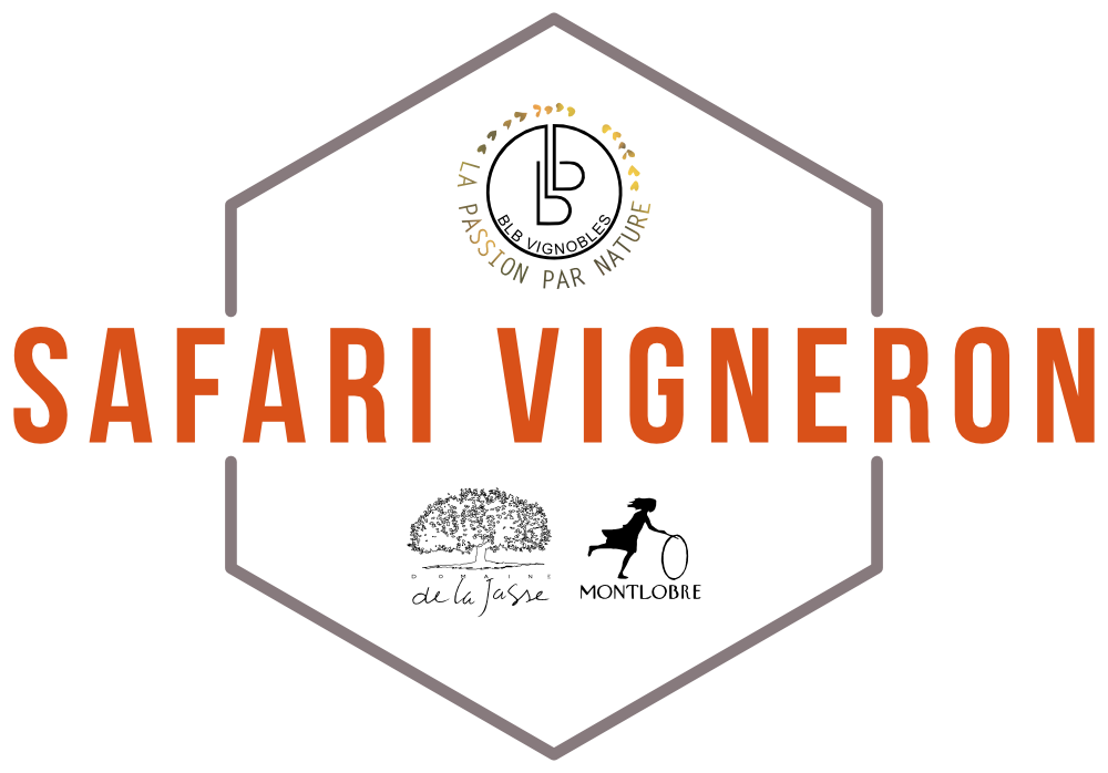 Safari Vigneron Responsable