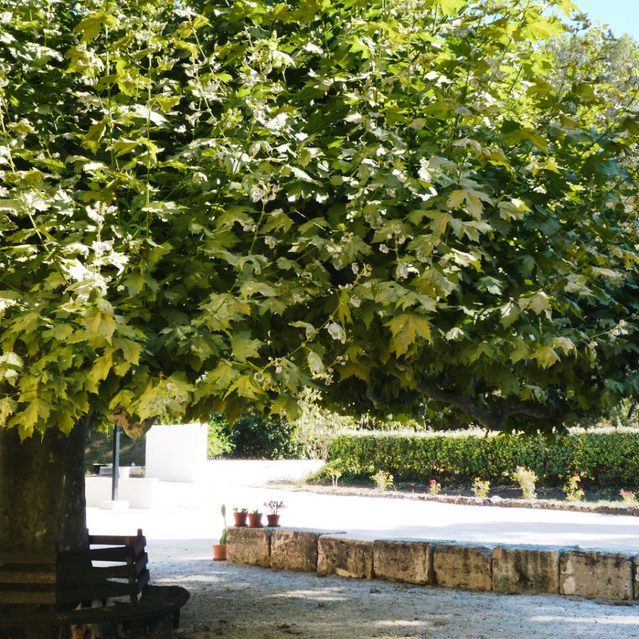 Domaine