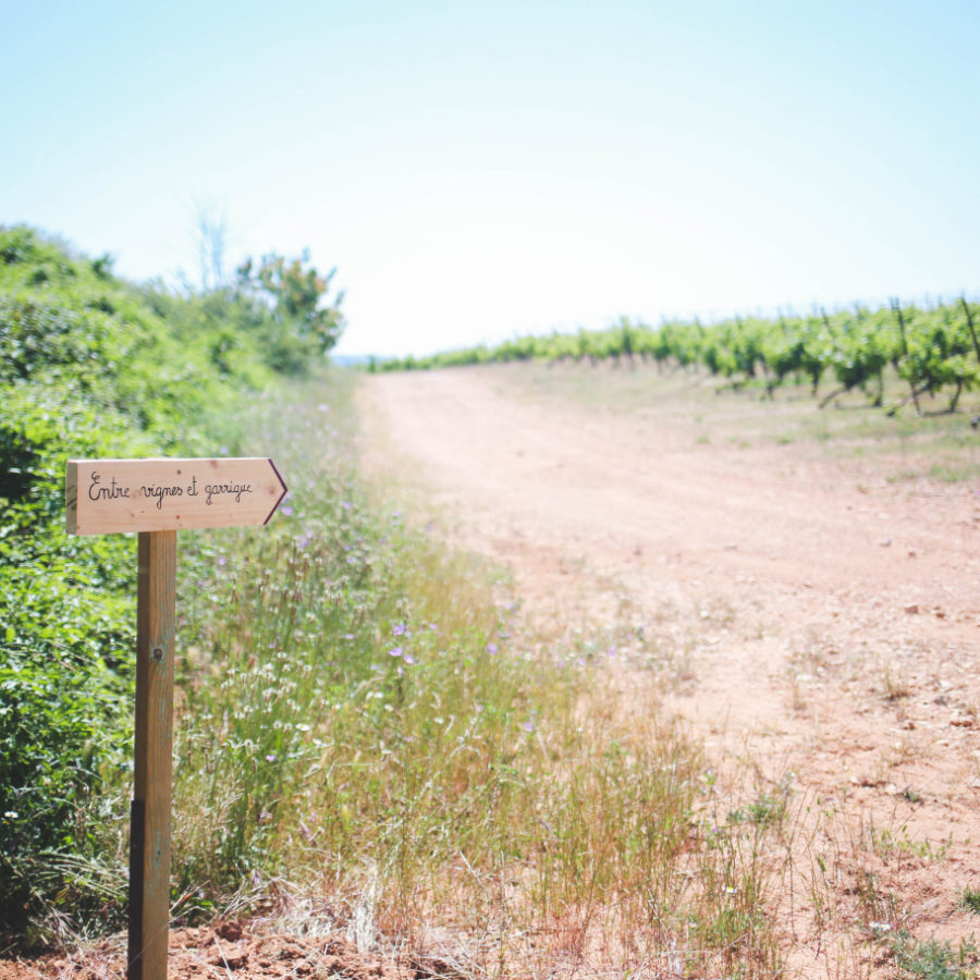 Sentier6