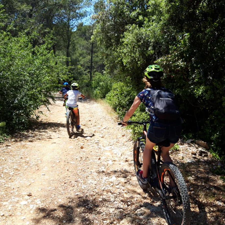 VTT4